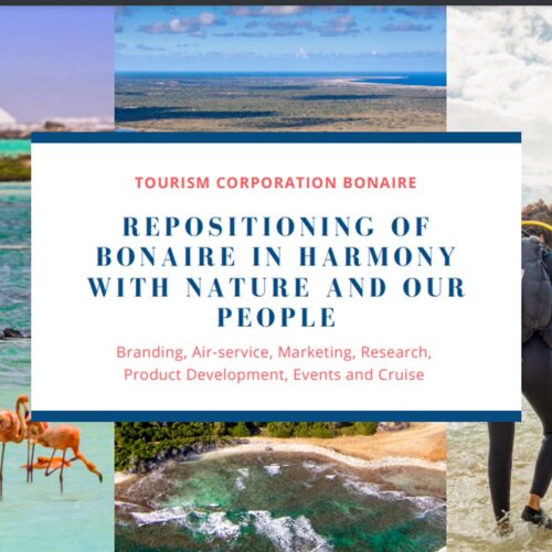 Front page of Bonaire Marketing Plan showcasing two divers and beach
