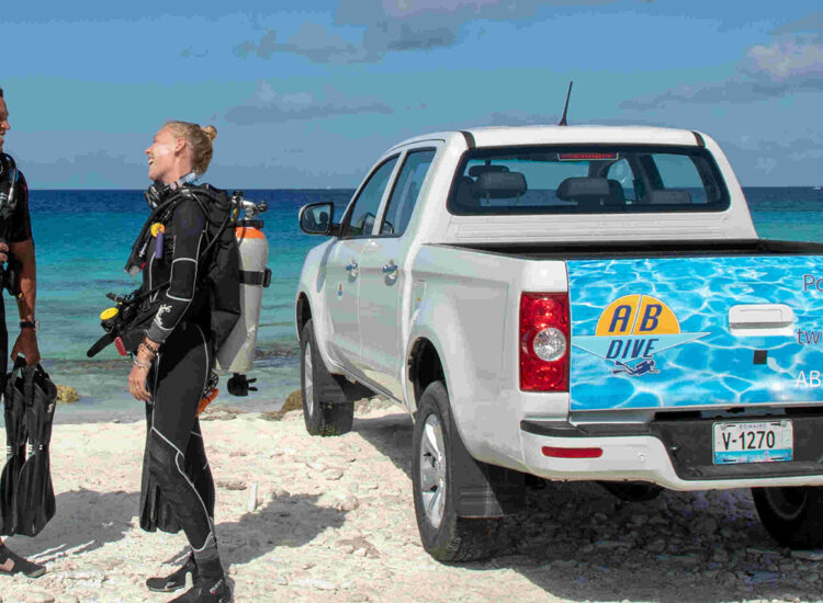 Two divers interacting next to a white pickup truck on the beach