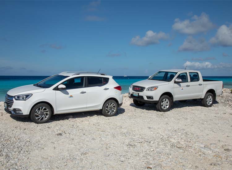 A white SUV and pickup truck parked parallel to the ocean