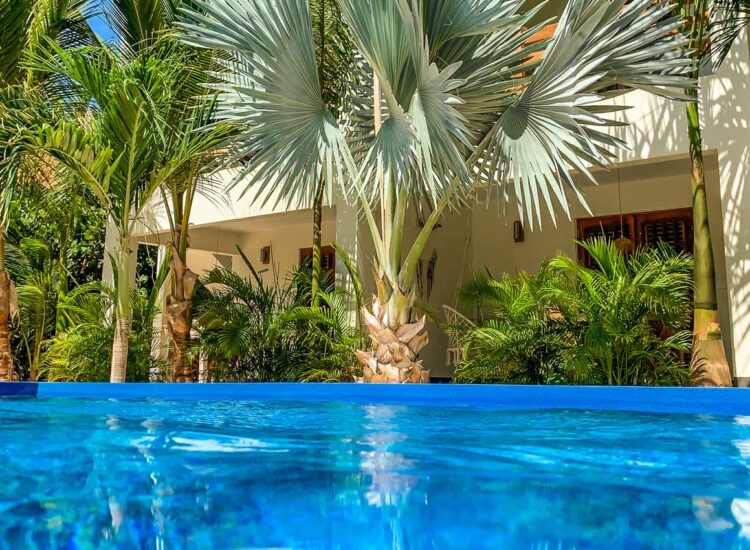 Buitenzwembad omgeven door palmbomen