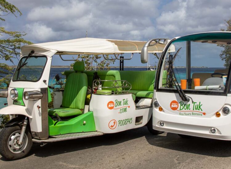 Two sightseeing vehicles parked by the ocean