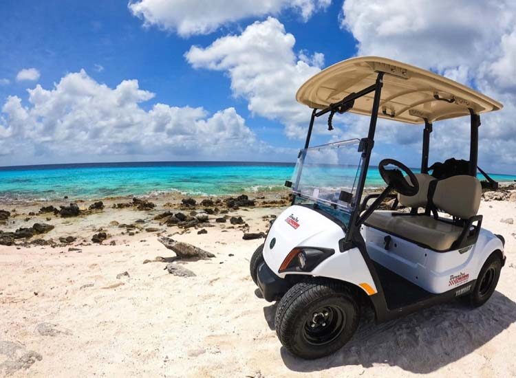 Golfkar geparkeerd op het zand bij de oceaan