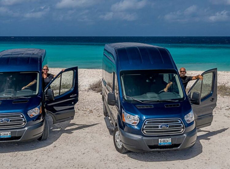 Two blue vans with drivers parked by the ocean