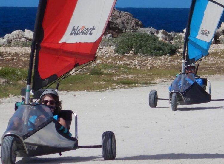 Two people landsailing with the ocean in the background