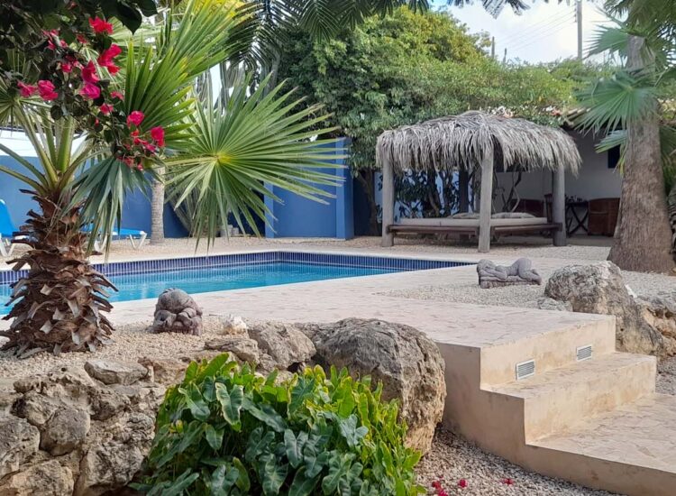 Trap leidt naar een buitenzwembad omgeven door palmbomen