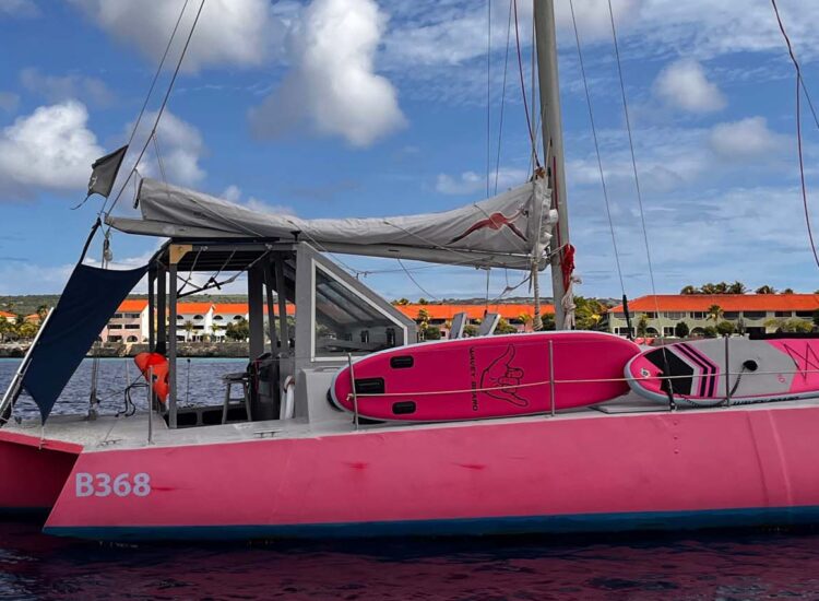 Pink sailboat in the ocean with water sport equipment on board