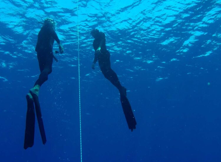 Twee duikers onder water