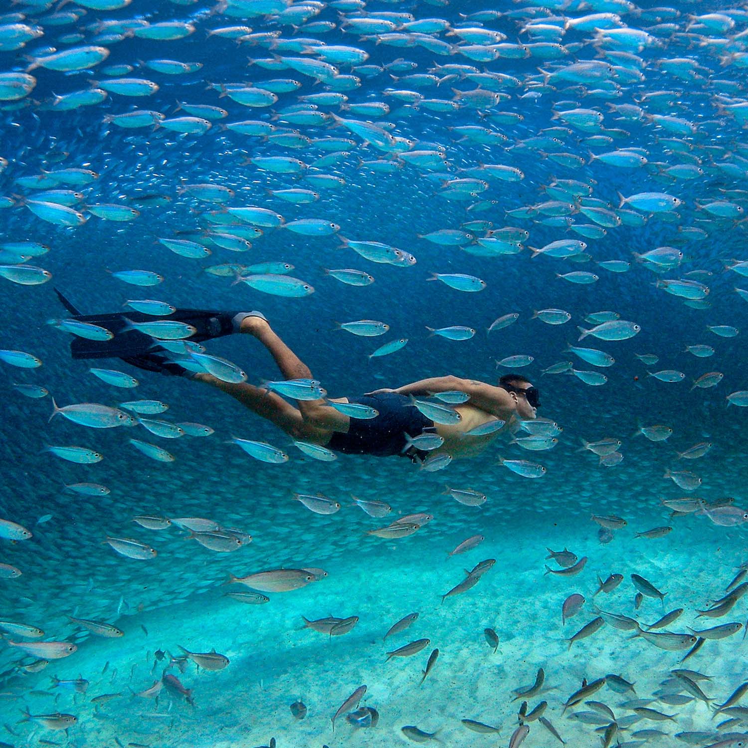Male swimming underwater with fish