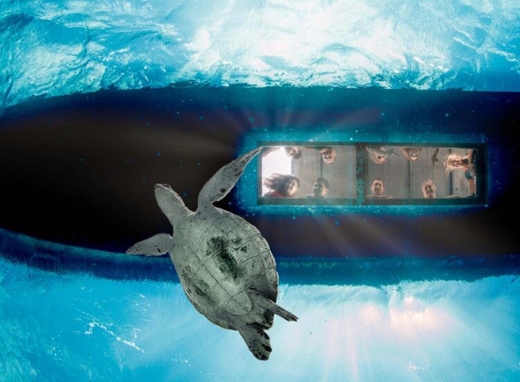 Groep mensen kijkt naar een zeeschildpad door een glazen plaat in de bodem van een boot