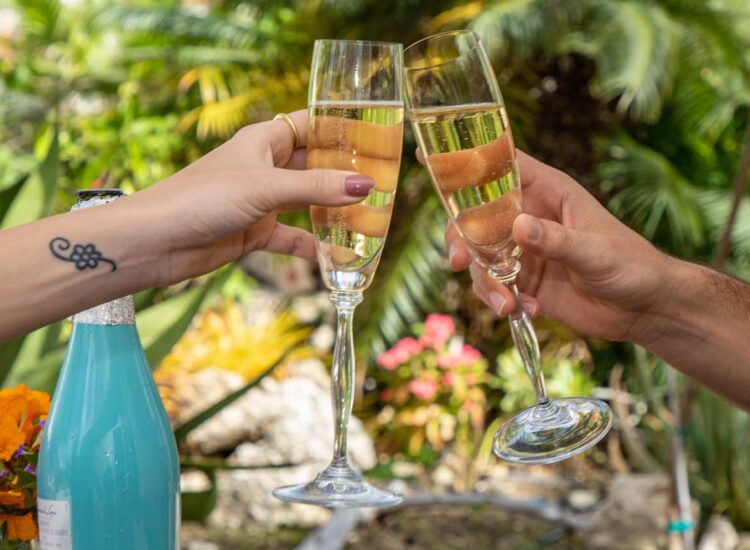 Twee handen proosten buiten met champagne boven een kleine borrelplank