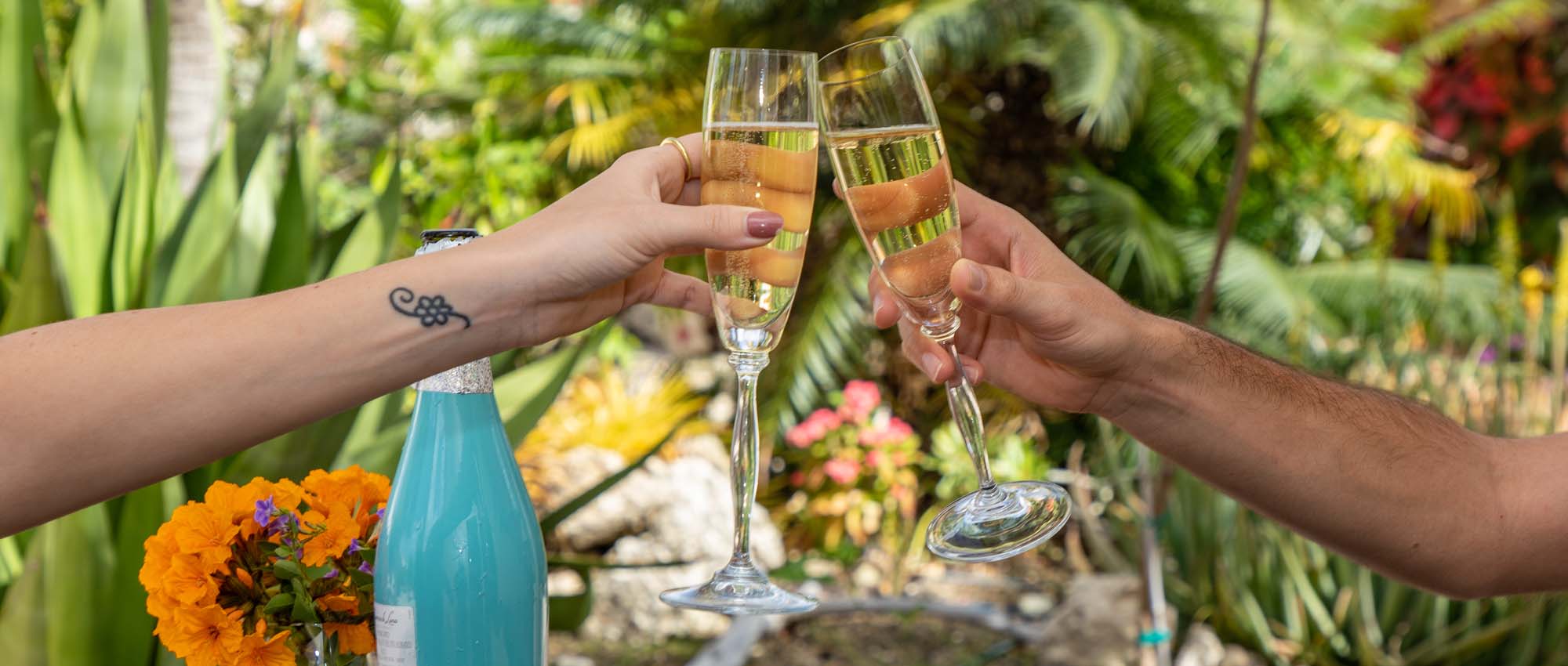 Twee handen proosten buiten met champagne boven een kleine borrelplank