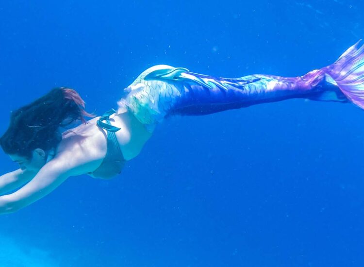 Mermaid swimming underwater