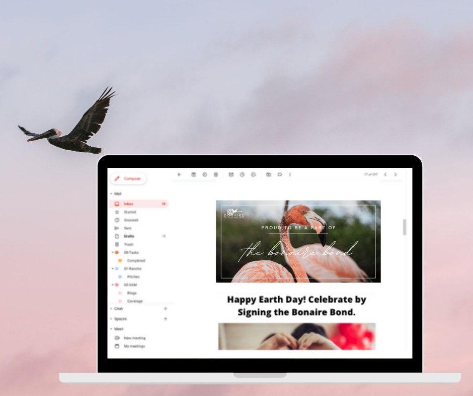 Laptop showing an email with a photo of a flamingo in it