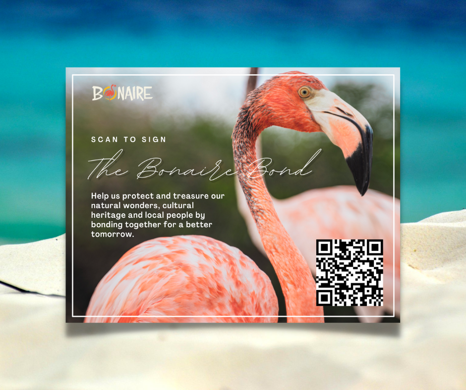 Postcard with a photo of flamingo and scannable QR code