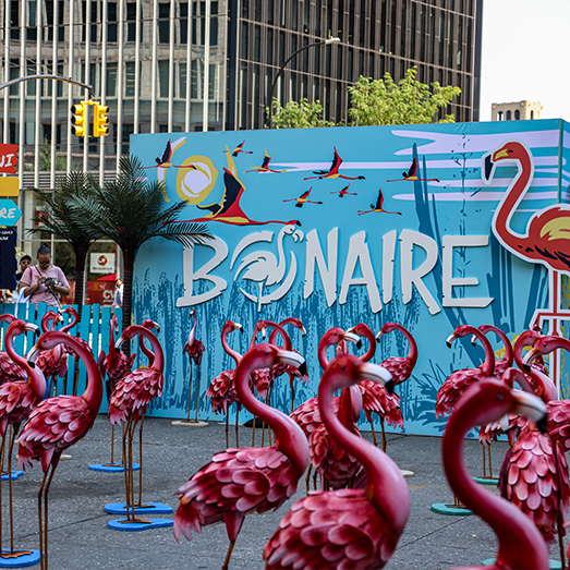 Flamingo flamboyance in the middle of NYC