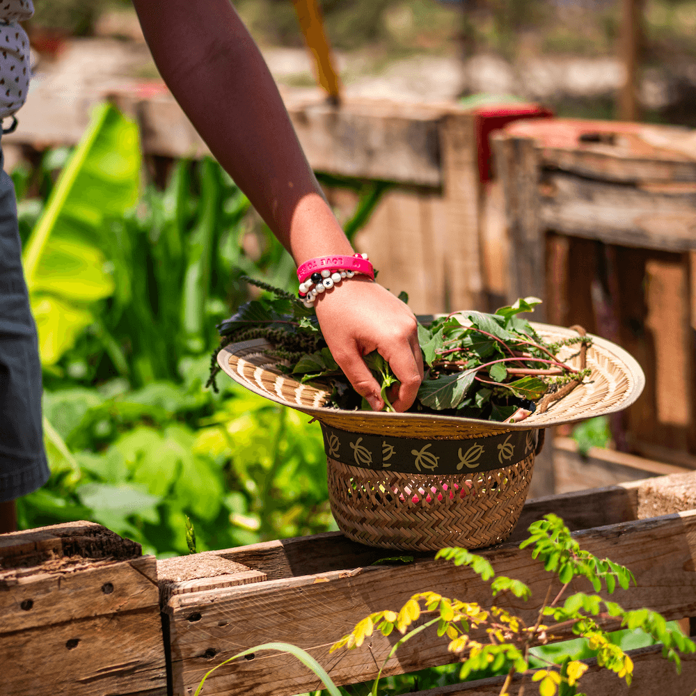 Hand reaching into straw hat filled with garden vegetables