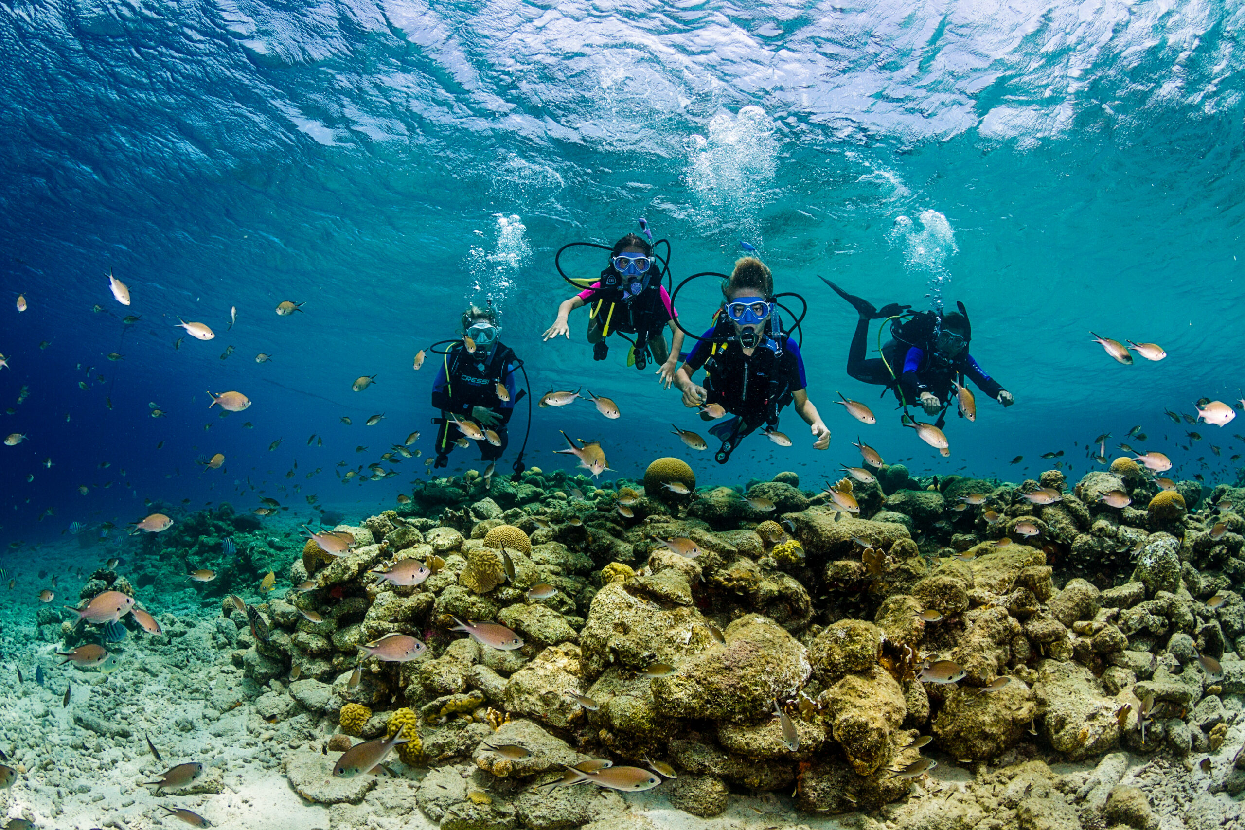 4 divers next to a coral reef in bonaire